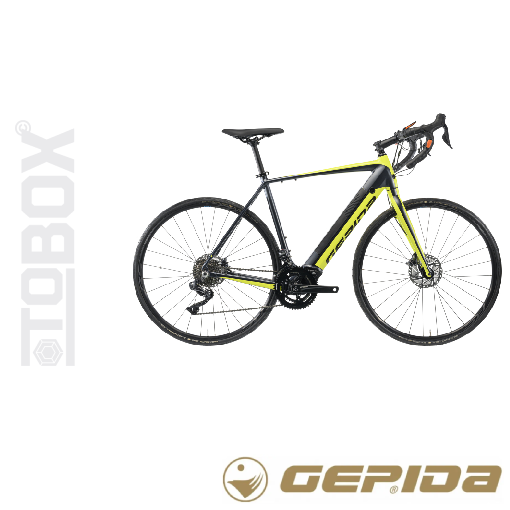 gepida-cassis-pro-elektromos-kerekpar