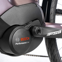 gepida-alboin-curve-tr-xt-10-padlizsan-3