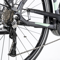 gepida-alboin-tr-alivio-9-zold-2