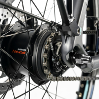 gepida-bonum-edge-nexus-8-26-kek-2