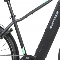 gepida-fastida-pro-man-xt-12-1