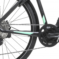 gepida-fastida-pro-man-xt-12-2