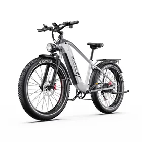 DUOTTS F26 Lite Elektromos Kerékpár 26" Ezüst 840Wh