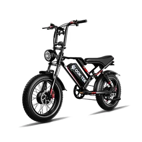 OOK-TEK S8 Elektromos Kerékpár/Robogó | 840WH